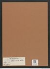 Navicula placenta Ehr. (de-Toni-Nr.: Genus 1, Species 695) Zeichnungen Sammlung Grunow Mappe 00581 (Herbarium_W_Grunow_drawings_Folder_00581)